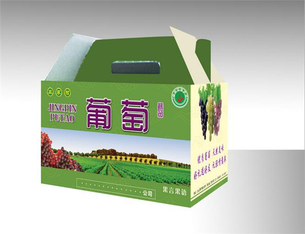 陝西包(bao)裝紙箱 陝(shan)西包裝紙(zhi)箱